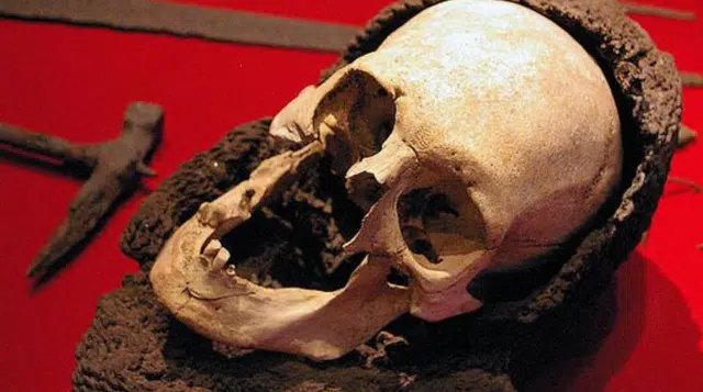 Discover 100 of Skull Wearing a Medieval Chainmail- Sweden