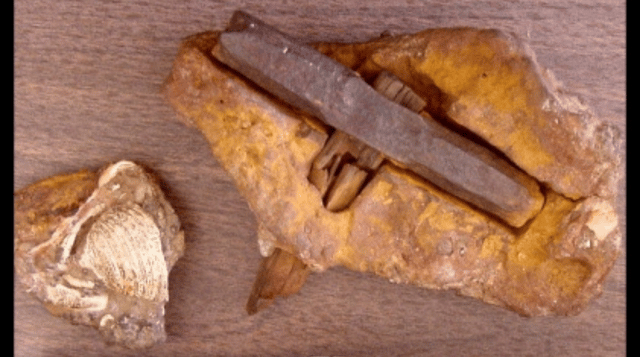 The 400 million years old London Hammer - Discover in Texas in 1936