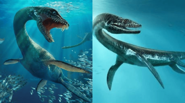 The ‘Loch Ness monster’ found In Morocco 