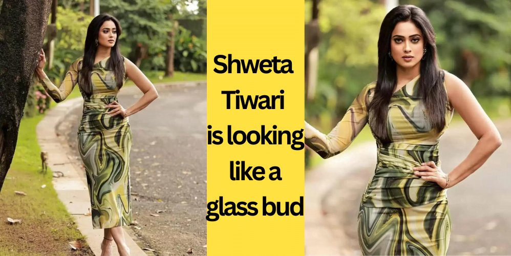 Shweta Tiwari is looking like a glass bud-कांच कली लग रही है श्वेता तिवारी